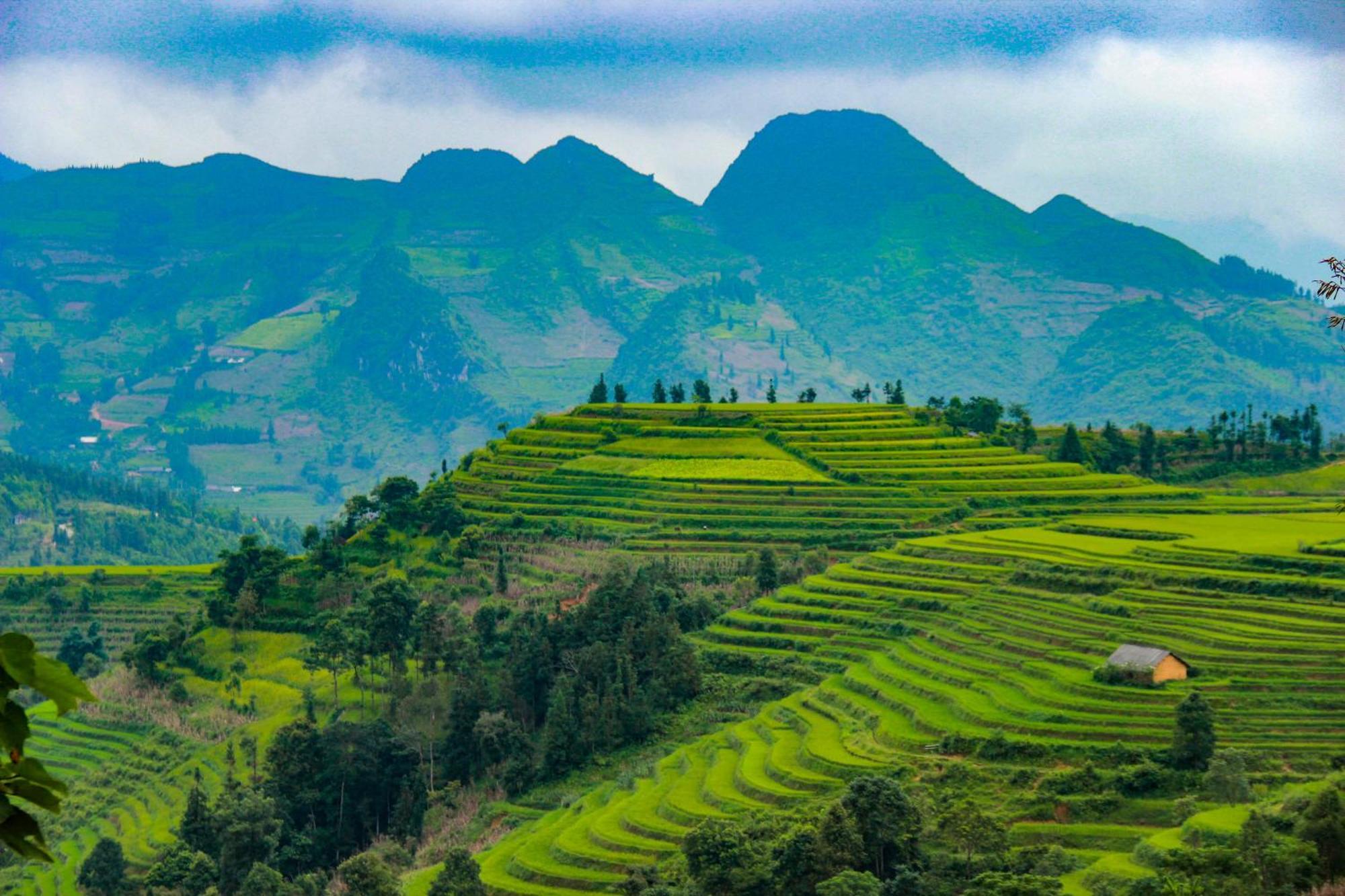 Cong Fu Hotel Бак-Ха Екстер'єр фото